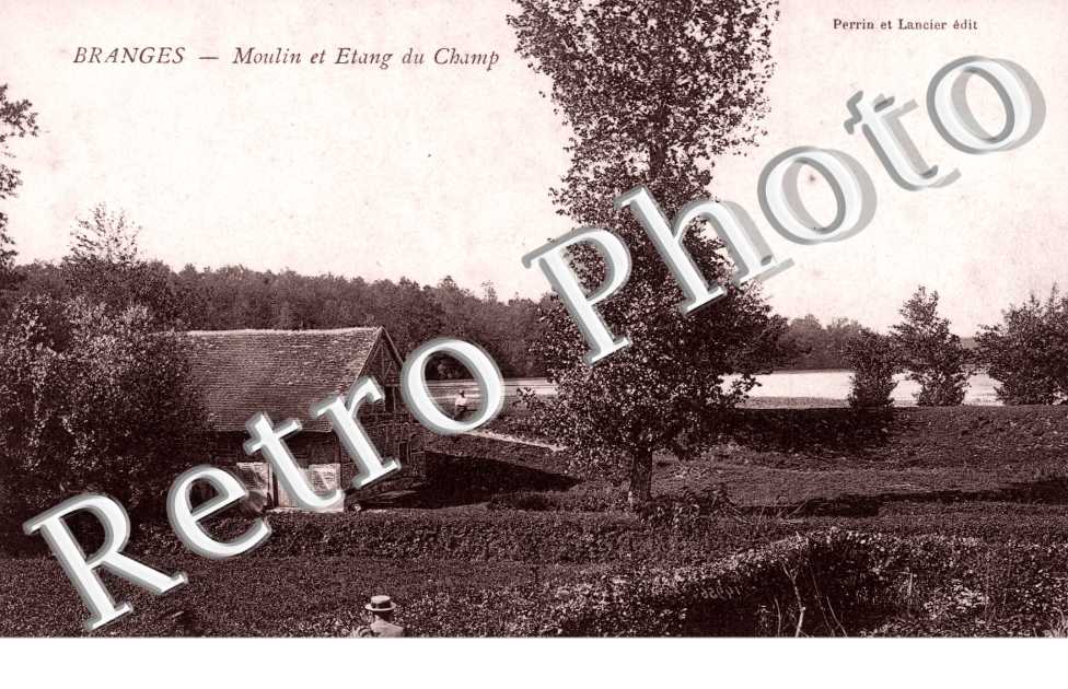 Moulin et etang du champ