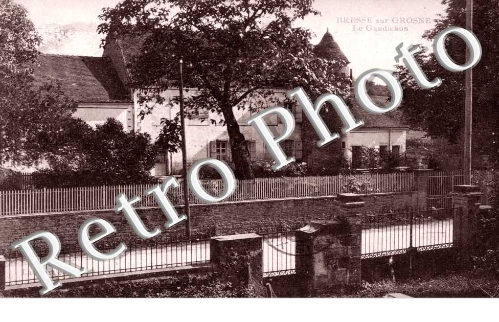 Le Gaudichon