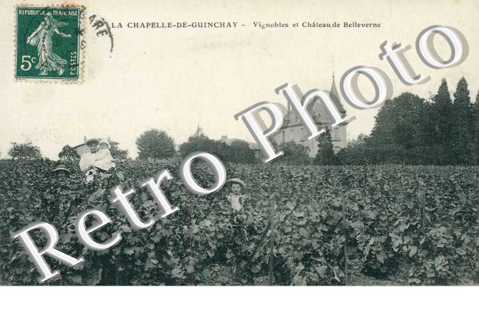 Vignobles et Chateau de Bellevue