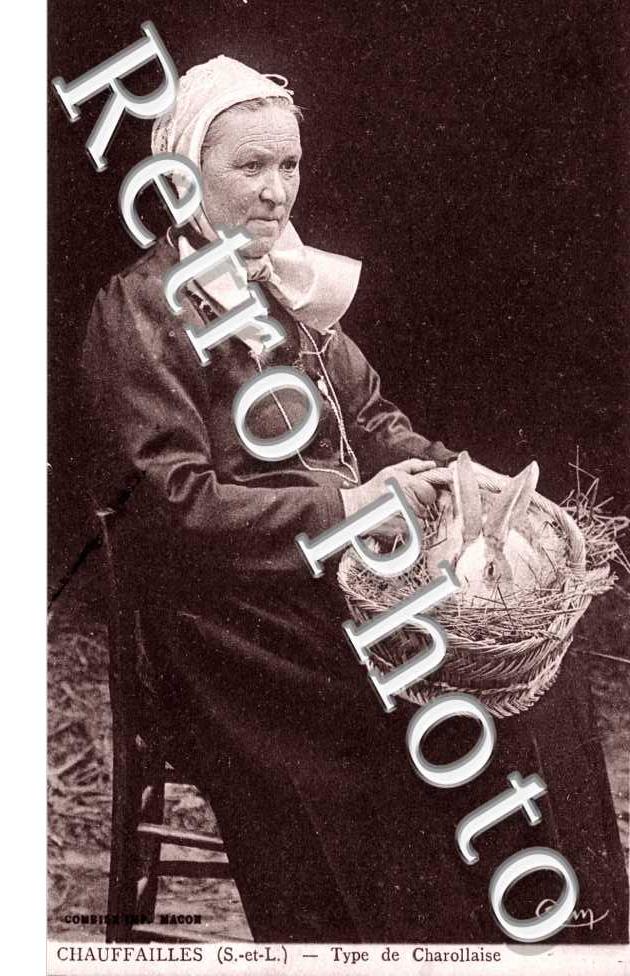 Type de Charollaise