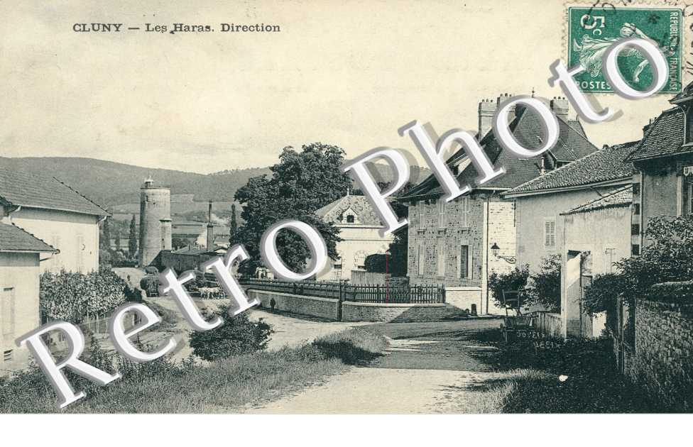Le Haras, Direction