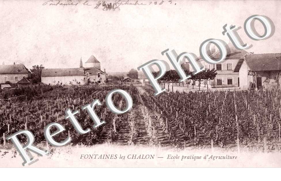 Ecole d'Agriculture