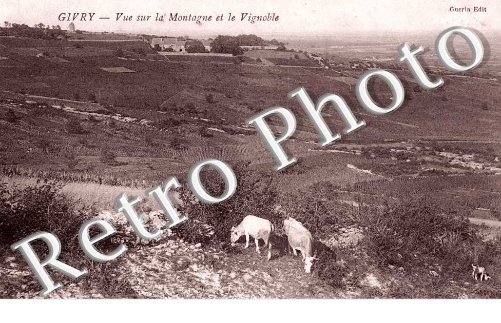 Vue sur la Montagne et le Vignoble