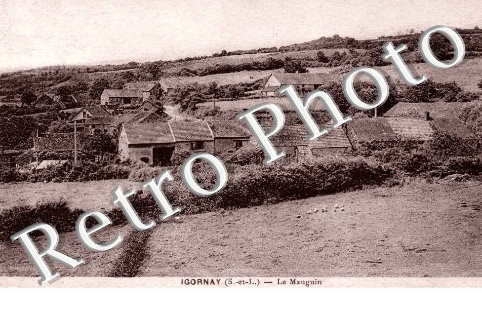 Le mauguin