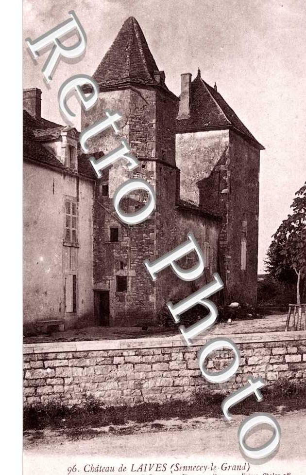 Chateau de Laives