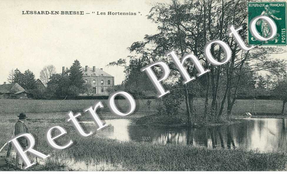 Les Hortensias