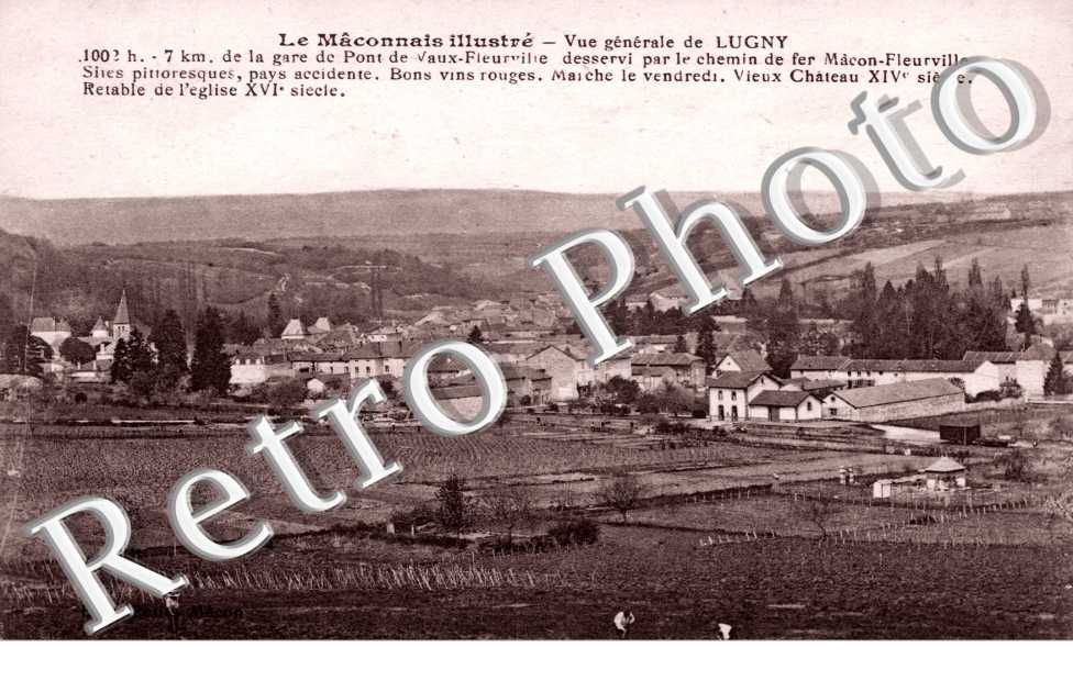 Vue generale