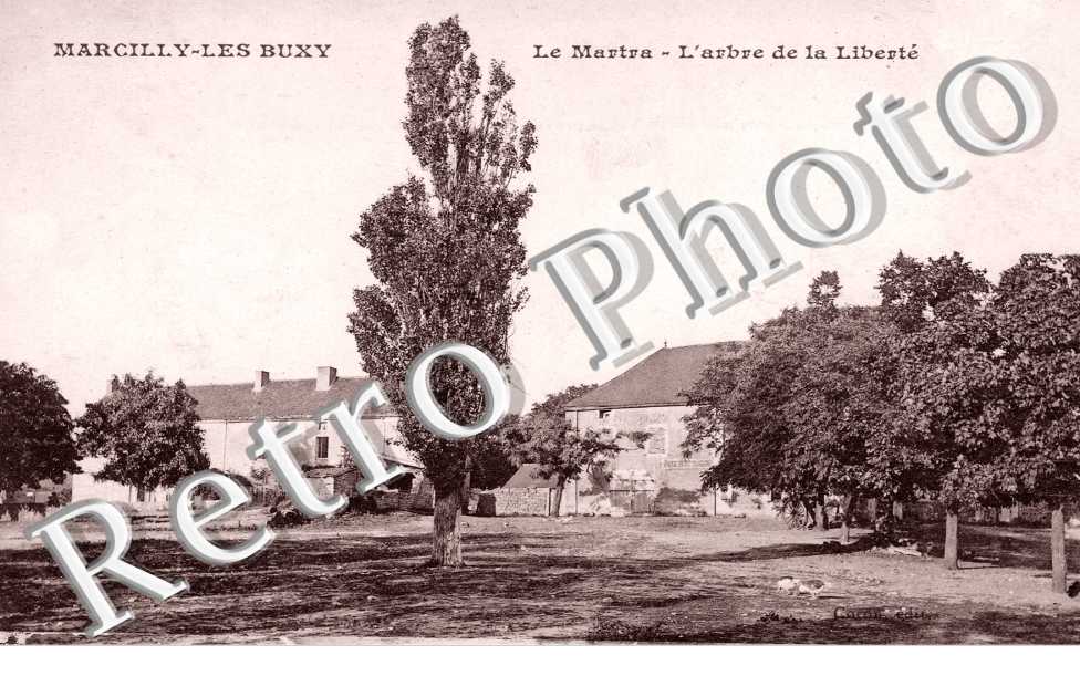 le martra l'arbre de la liberte
