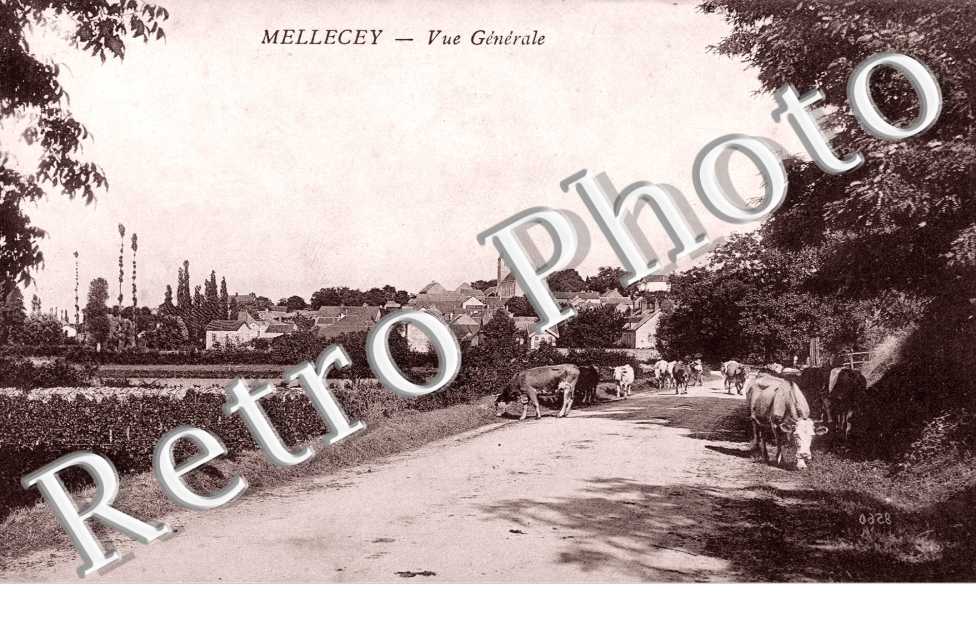 vue generale