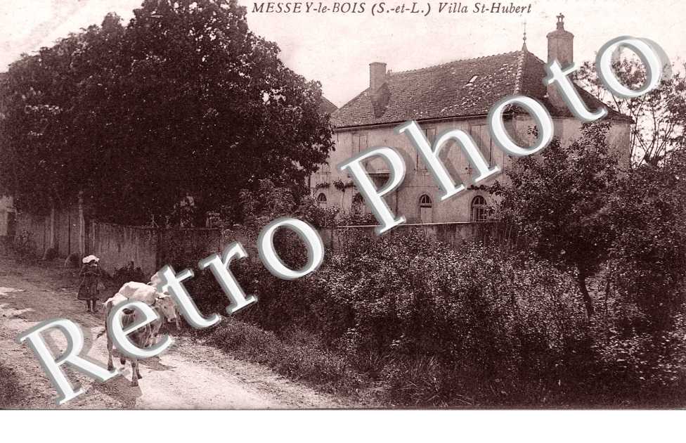 Villa St Hubert