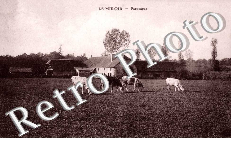 paturages