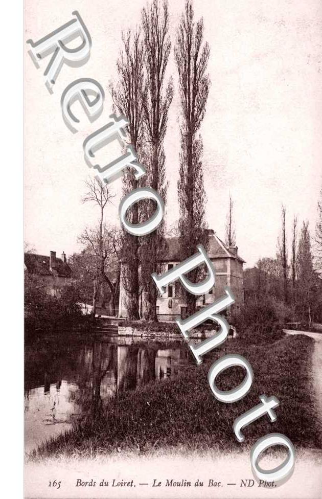 Bords du Loiret
