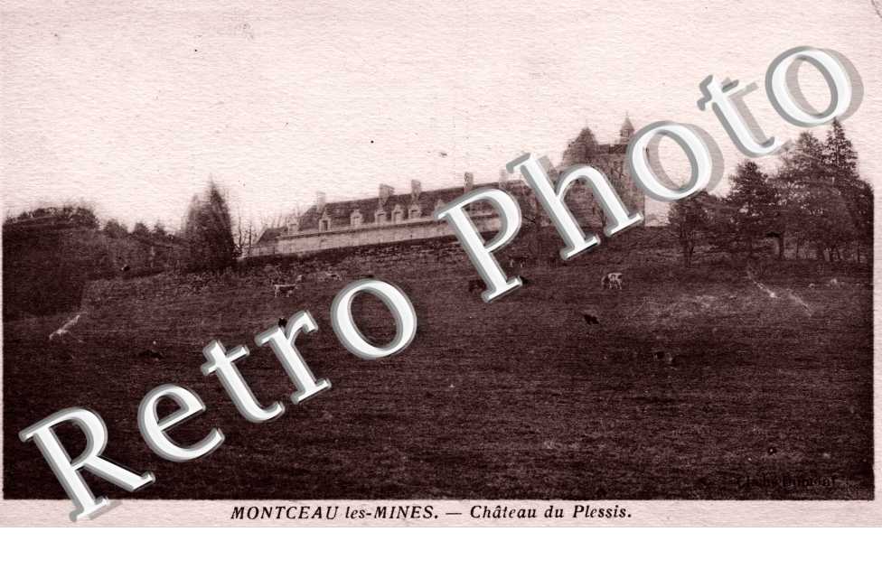 Chateau du Plessis
