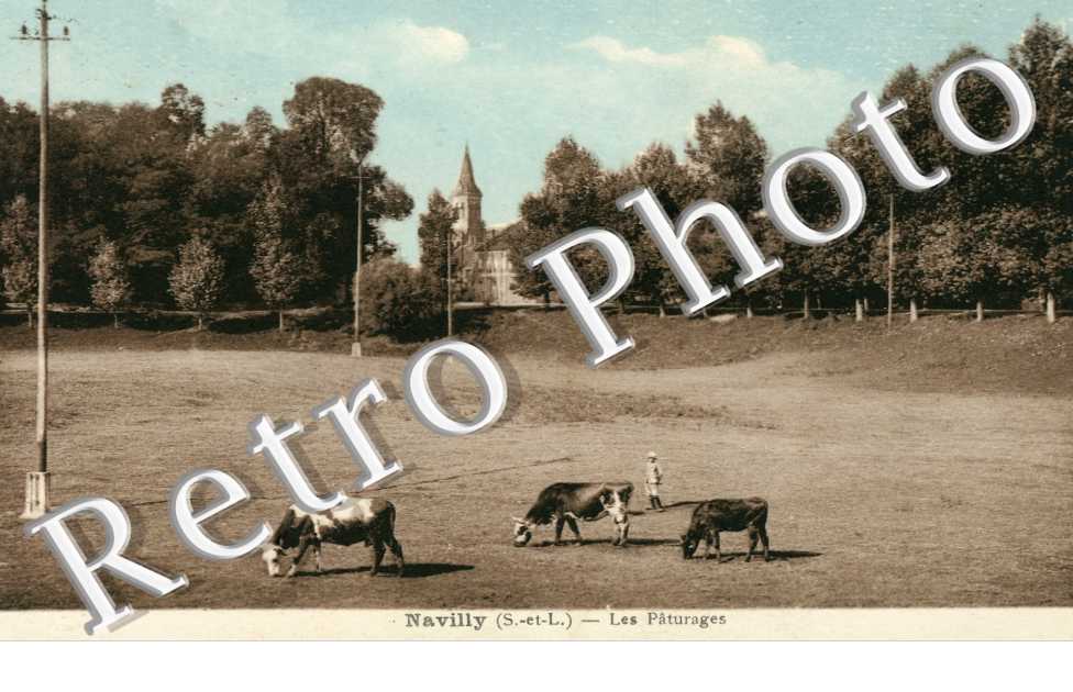 Les Paturages