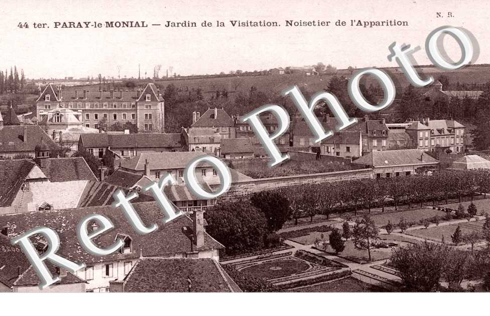jardin de la Visitation Noisetier de l'Apparition