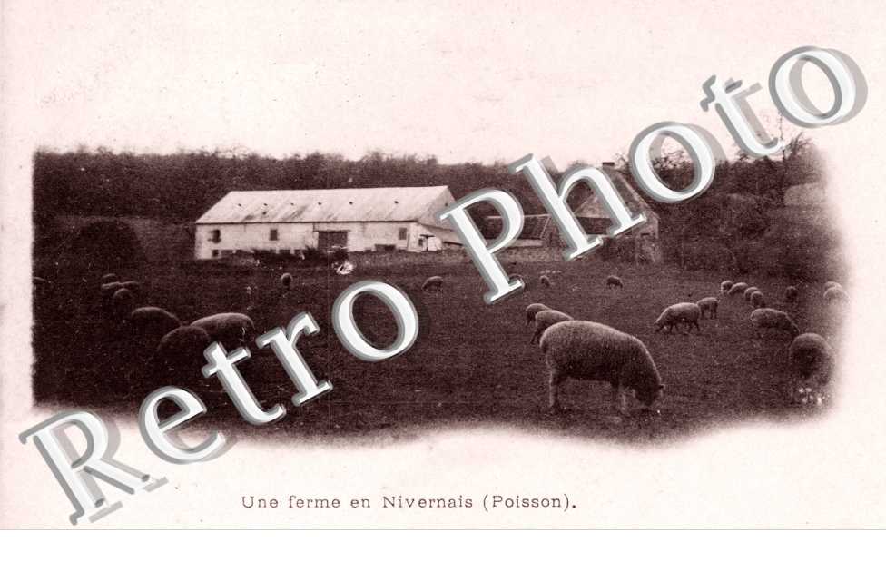 Une Ferme