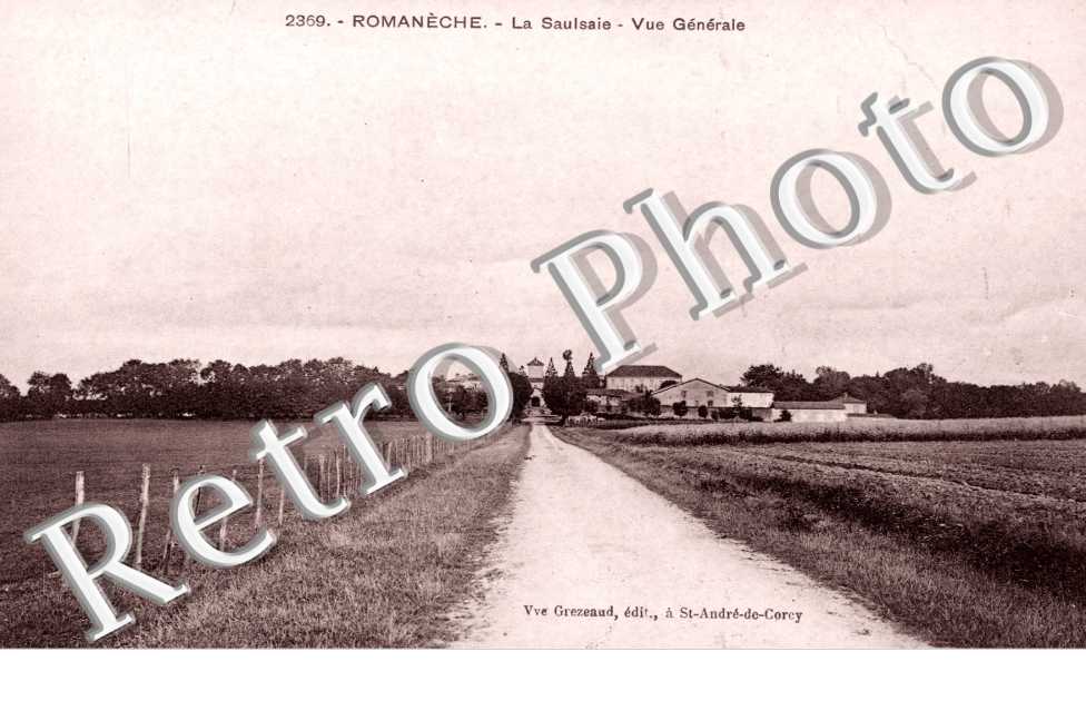 la Saulsaie, Vue Generale