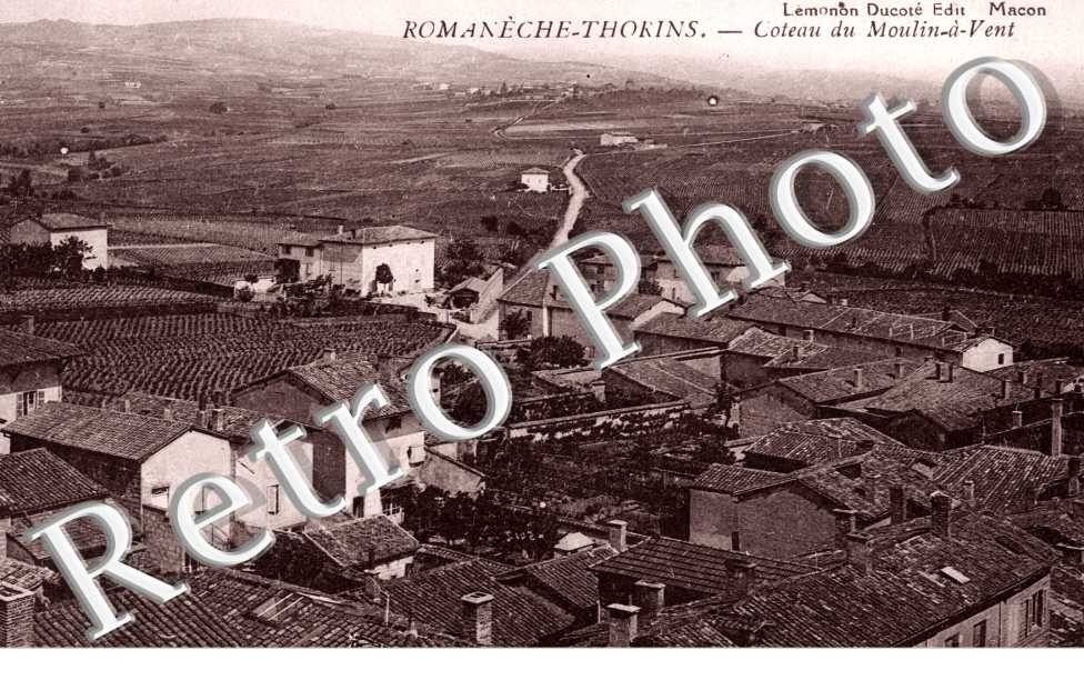 coteau du moulin a vent