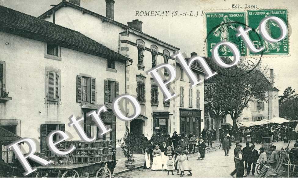 ( rue )