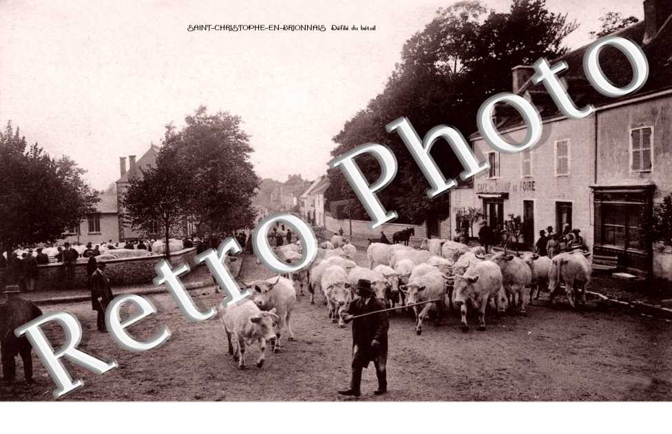 defile du betail