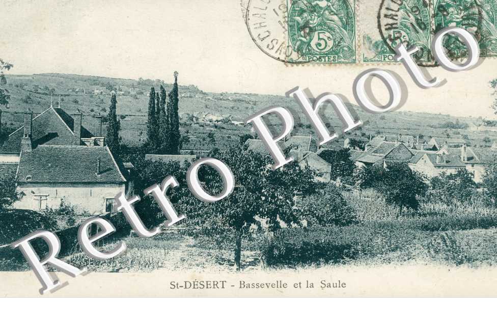 bassevelle et la saule