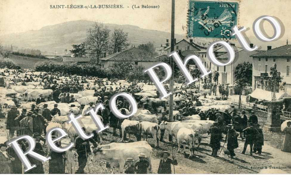 la belouze, marche au bestiaux