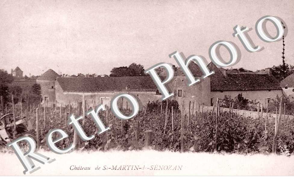 Le Chateau de Saint Martin