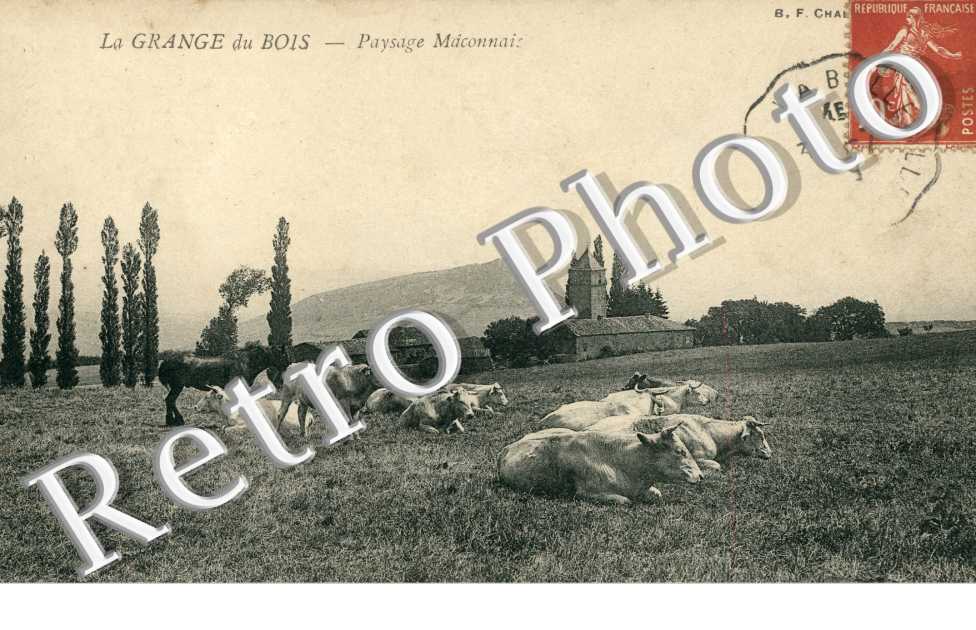Paysage Maconnais