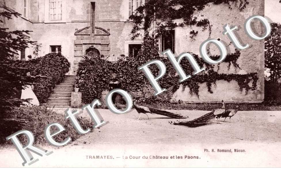 la Cour du Chateau