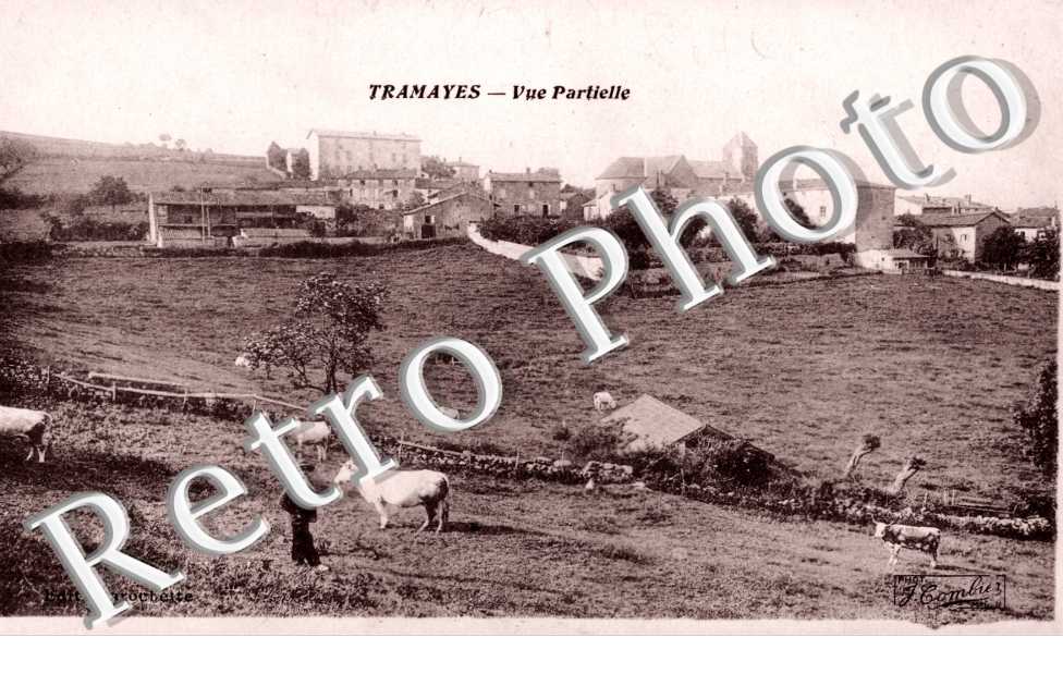 Vue Partielle