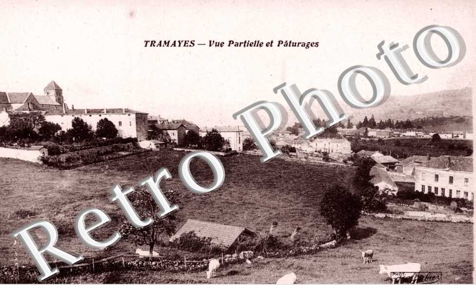 Vue partielle et Paturages
