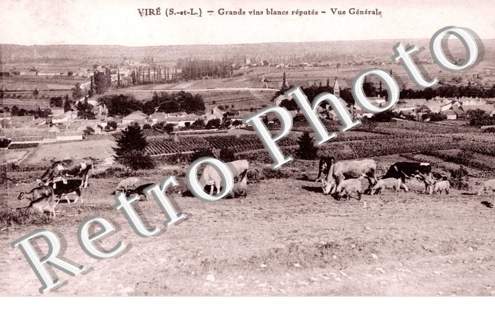 Vue Generale, les Grands Vins Blancs reputes