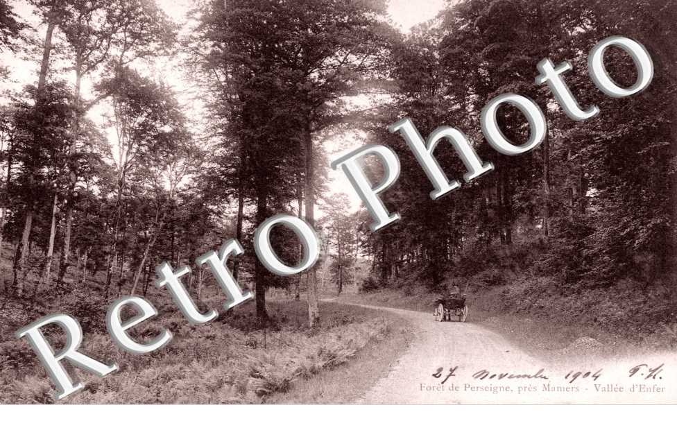 Foret de Perseigne pres Mamers - vallee d'enfer