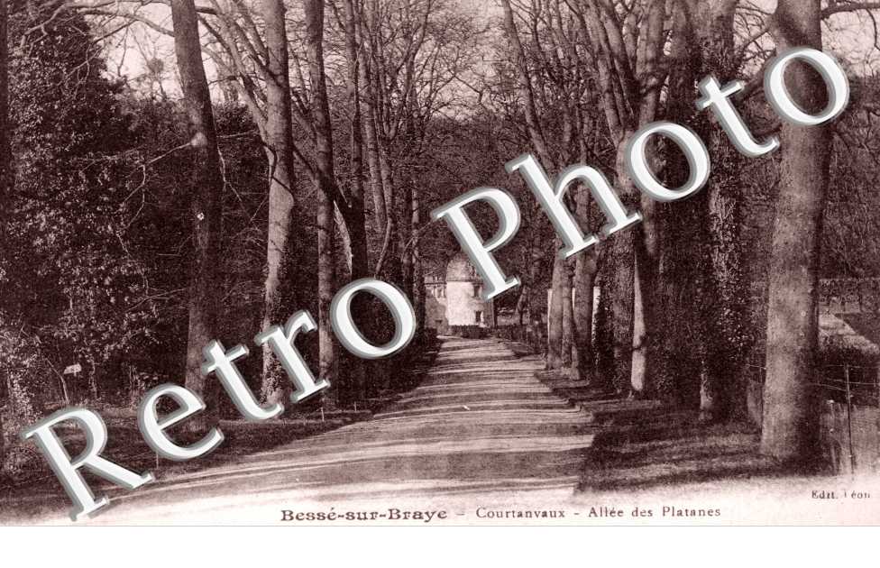 Courtanvaux - Allée des Platanes