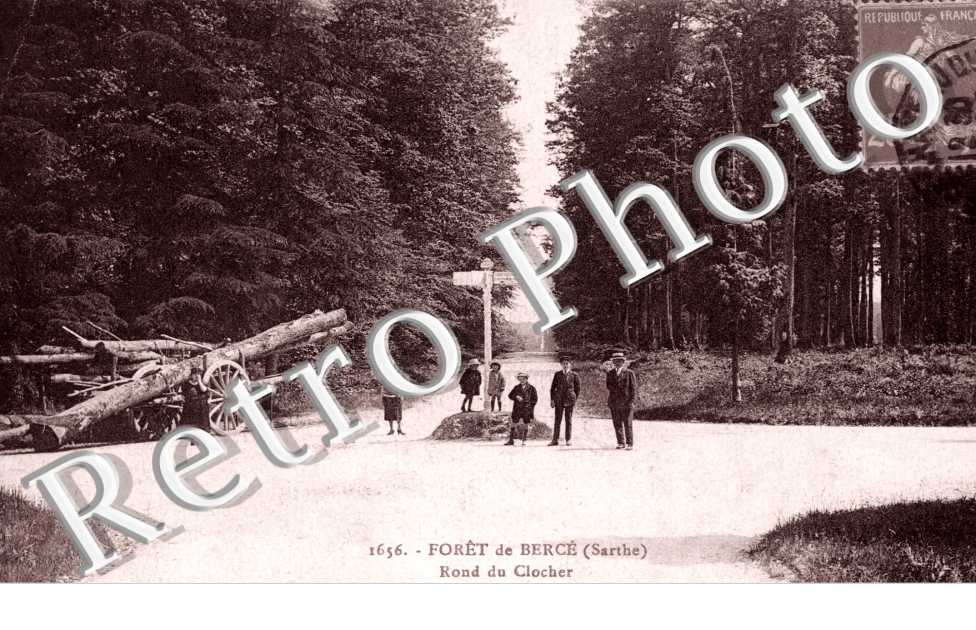 Foret de Berce, Rond du Clocher