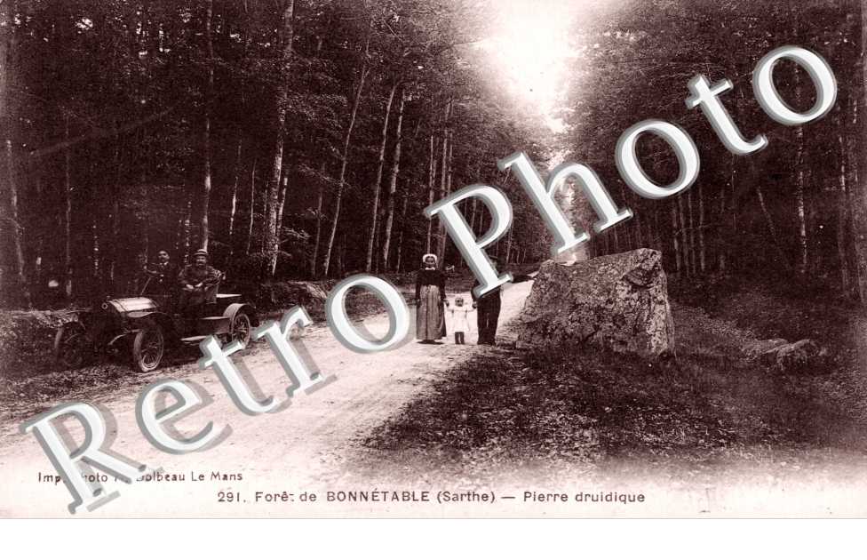 Pierre Druidique dans la Foret