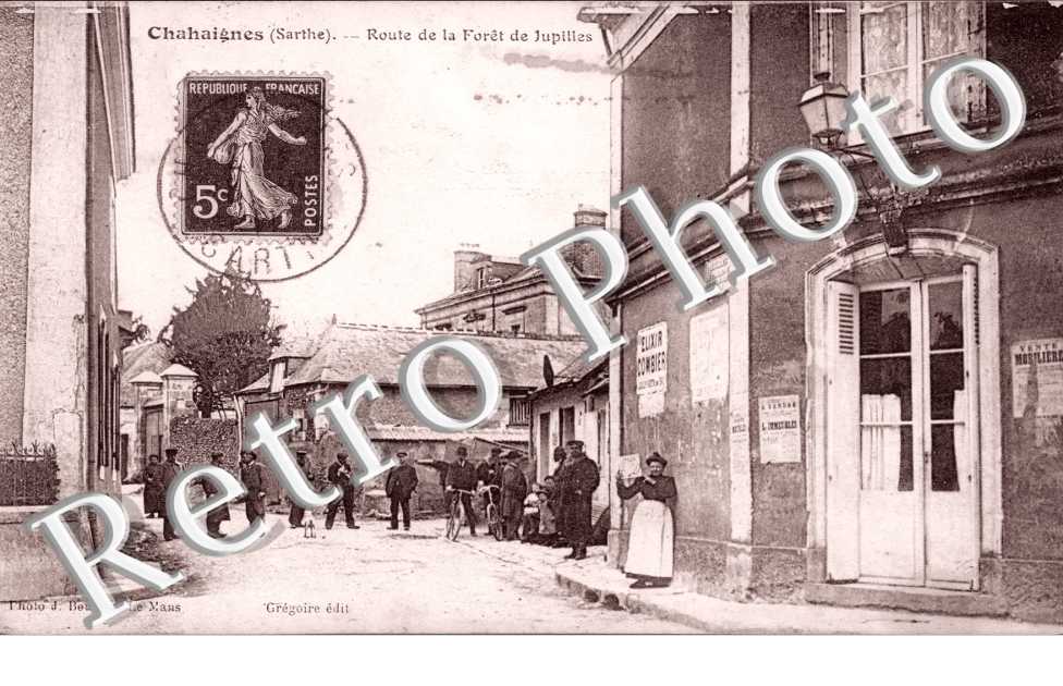 Route de la foret de Jupilles