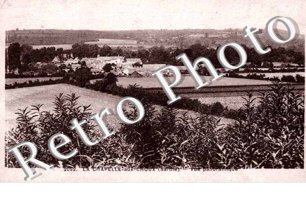 vue panoramique