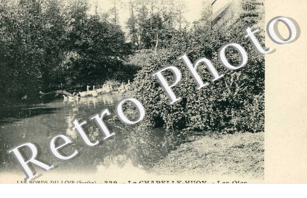 Les Oies