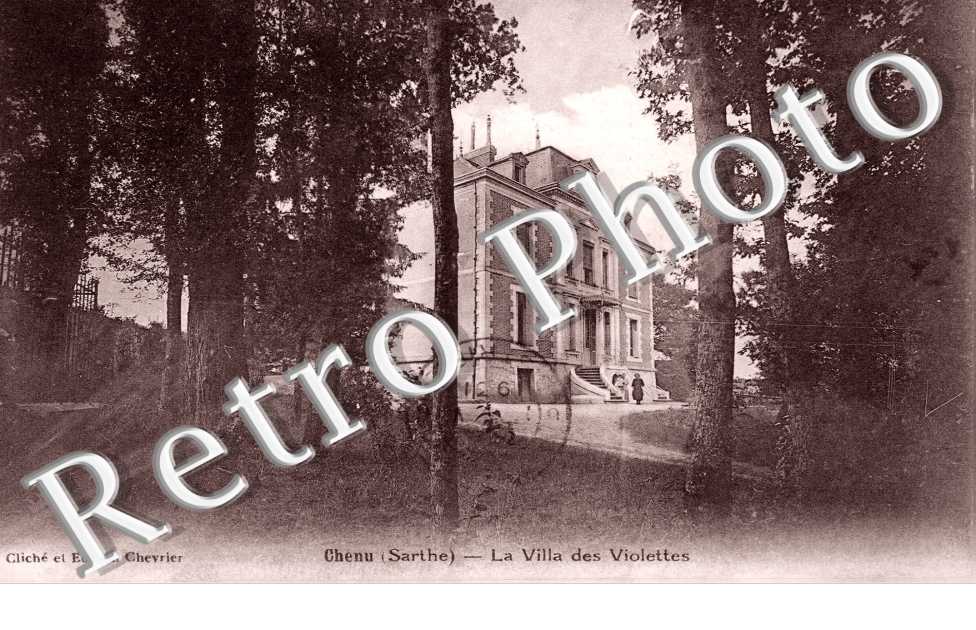 la villa des violettes