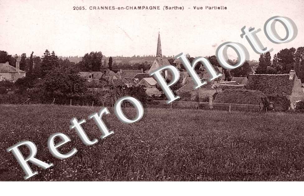 Vue partielle