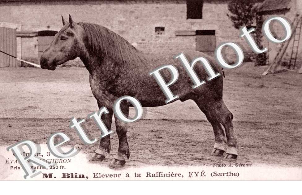 M.Blin, eleveur a la Raffiniere