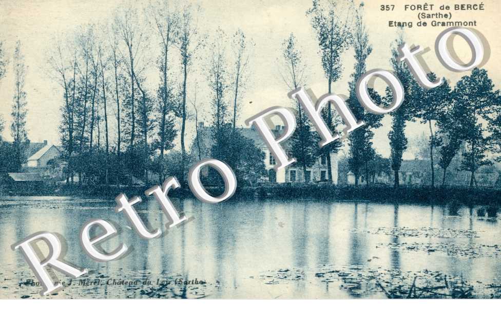 Foret de Berce, Etang de Grammont