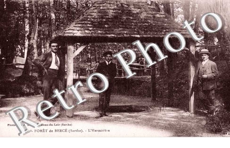 Forêt de Bercé. L'Hermitière
