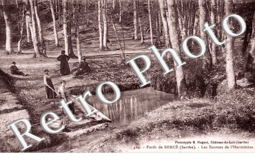 Foret de Berce, les Sources de l'Hermitiere