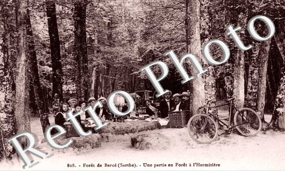 Foret de Berce, Une partie en Foret a l'Hermitiere