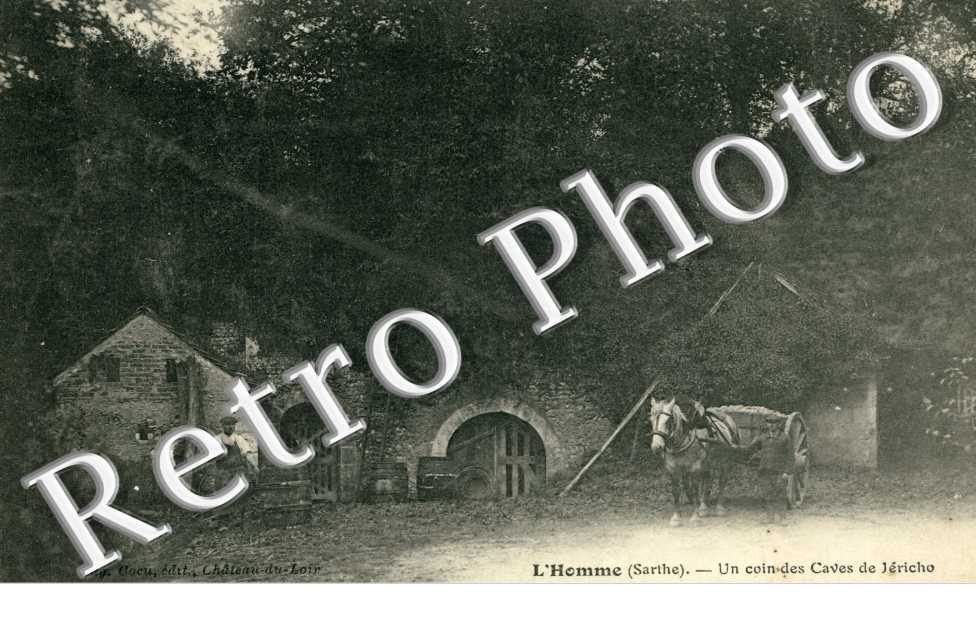 un coin des Caves de Jericho