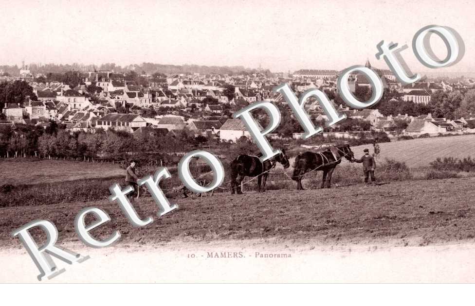 panorama
