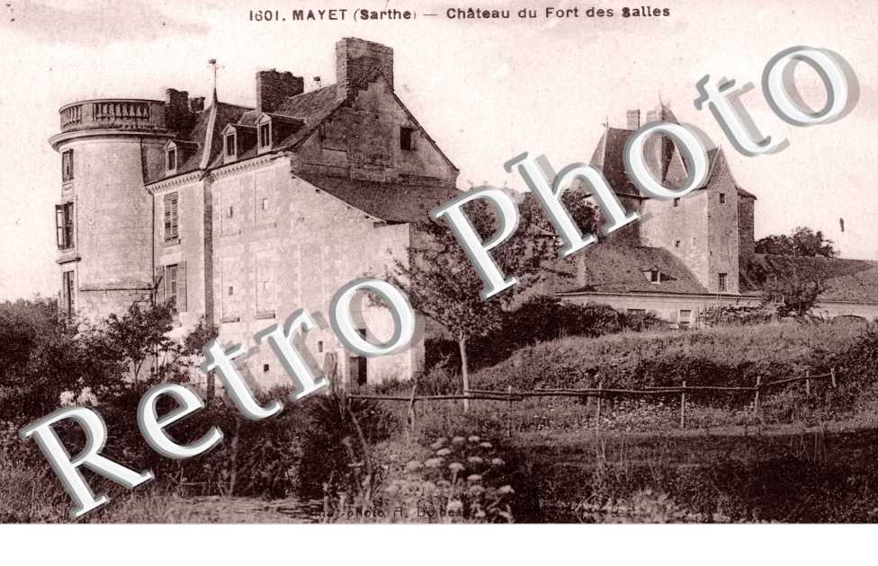 Chateau du fort des salles