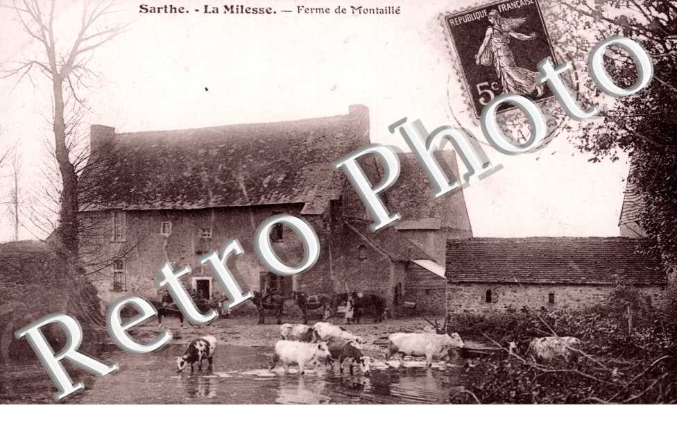 Ferme de Montaille